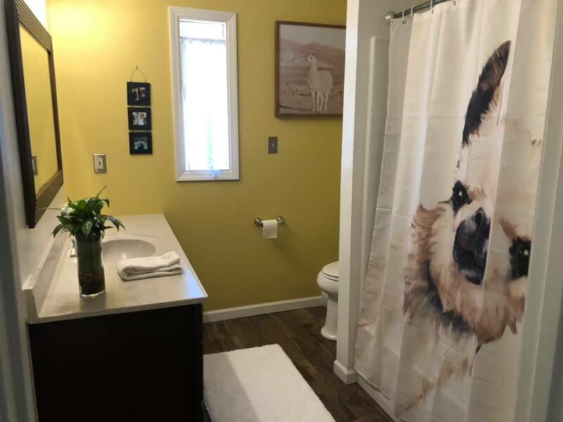 llama shower curtain